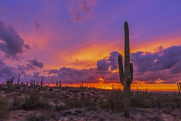 asphalt paving in arizona